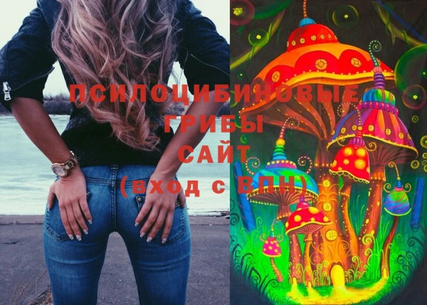 бошки Балахна